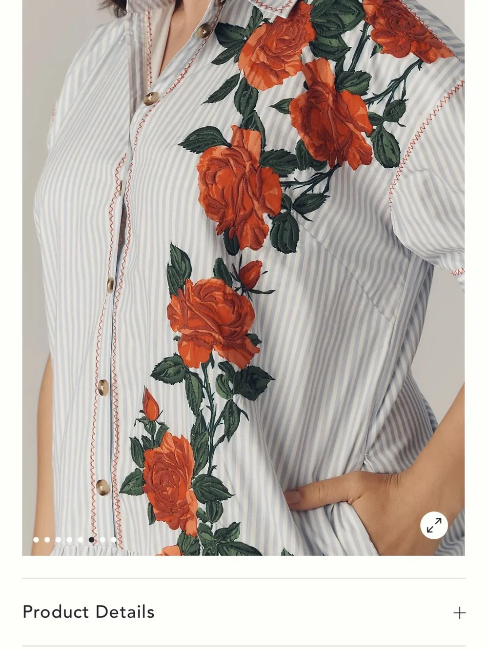 Maeve White & Green Striped Mini Dress with Red Rose Appliqué - Picture 7 of 9